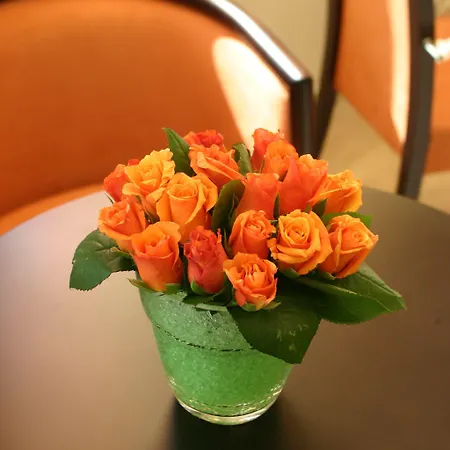 Alexandros Boutique Hotel