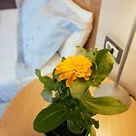 Alexandros Boutique 3*