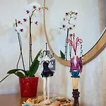 Alexandros Boutique Hotel 3*