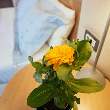 Alexandros Boutique 3*