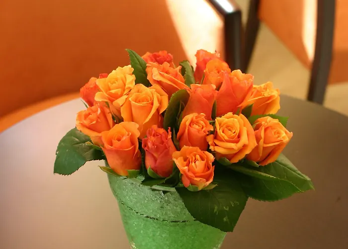 Alexandros Boutique Hotel