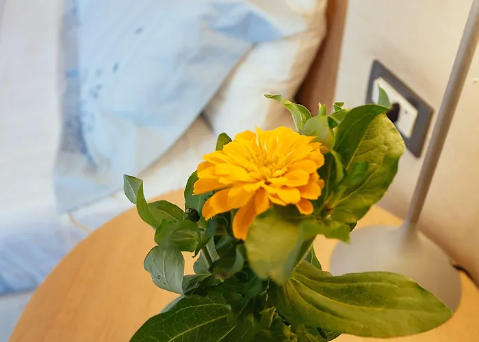 Alexandros Boutique 3*